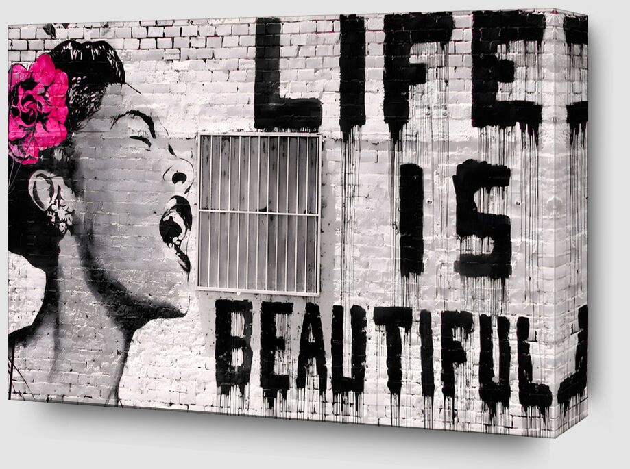 Life is Beautiful - Banksy from Fine Art Zoom Alu Dibond Image