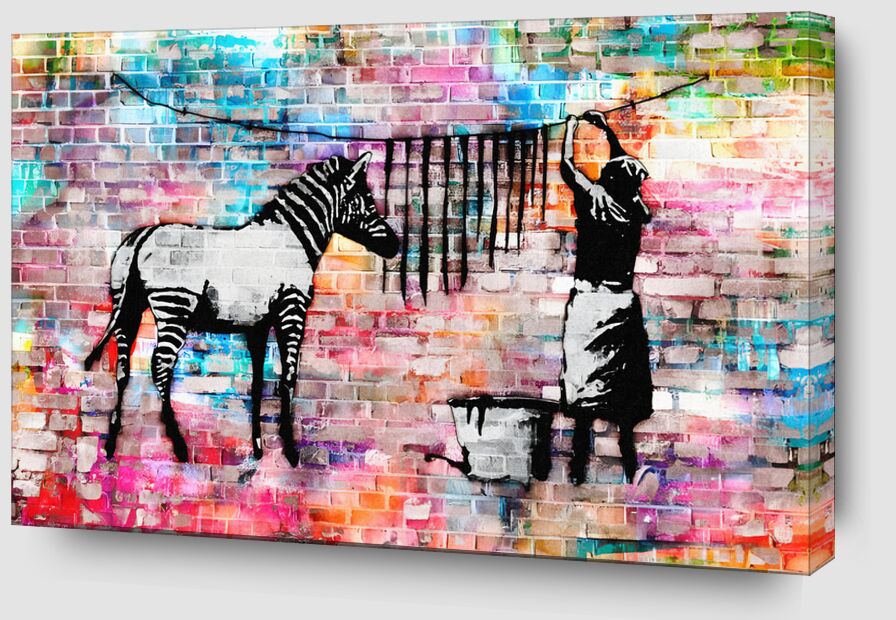 Colourful Washing Zebra on Concrete - Banksy de Beaux-arts Zoom Alu Dibond Image