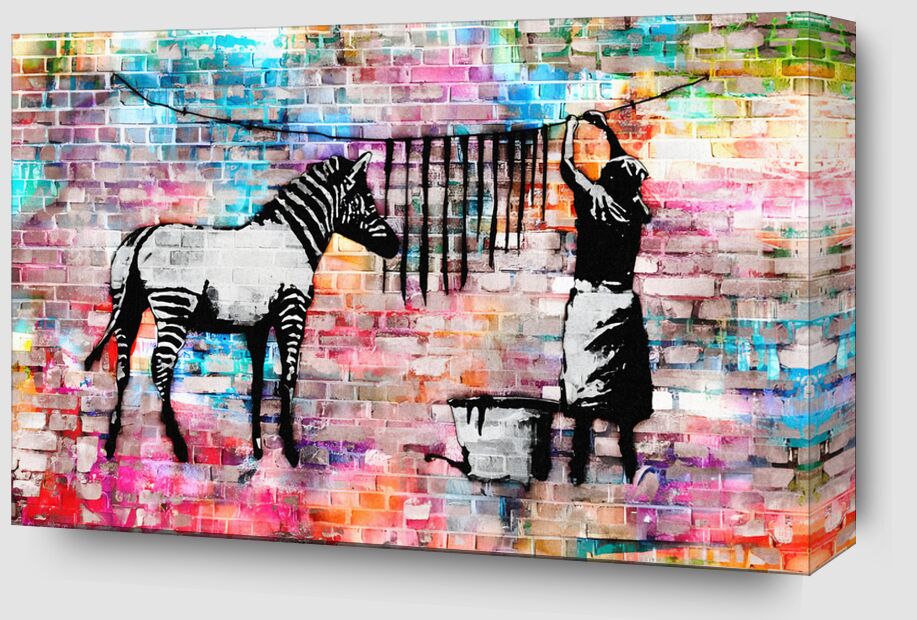 Colourful Washing Zebra on Concrete - Banksy from Fine Art Zoom Alu Dibond Image