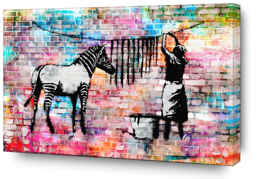 Colourful Washing Zebra on Concrete - Banksy de Beaux-arts, Prodi Art, nettoyer, photo de rue, rue, zèbre, Banksy