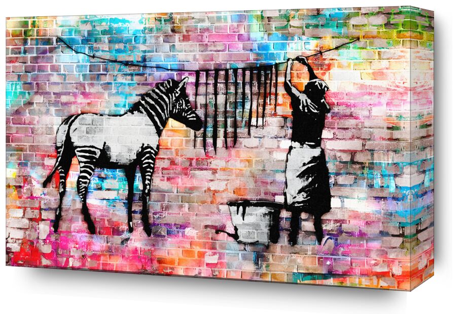 Colourful Washing Zebra on Concrete - Banksy from Fine Art, Prodi Art, clean, street photo, street, zebra, banksy