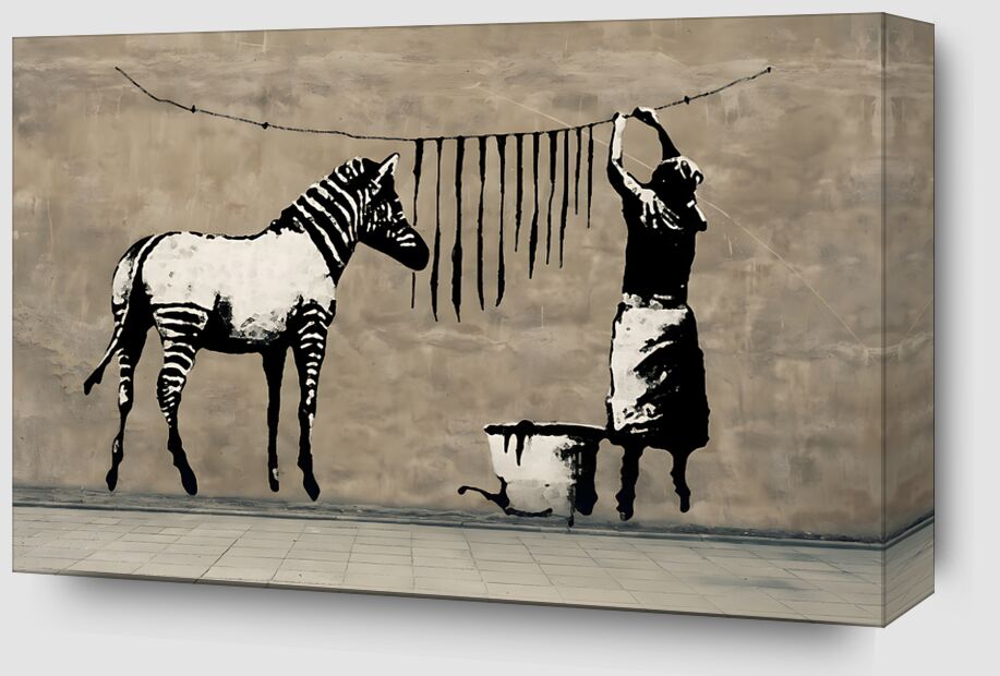 Washing Zebra on Concrete from Fine Art Zoom Alu Dibond Image