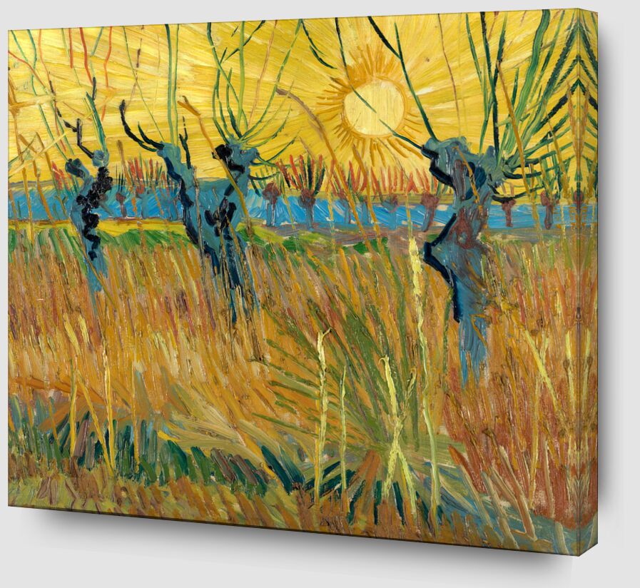 Saules au Soleil Couchant - Van Gogh de Beaux-arts Zoom Alu Dibond Image