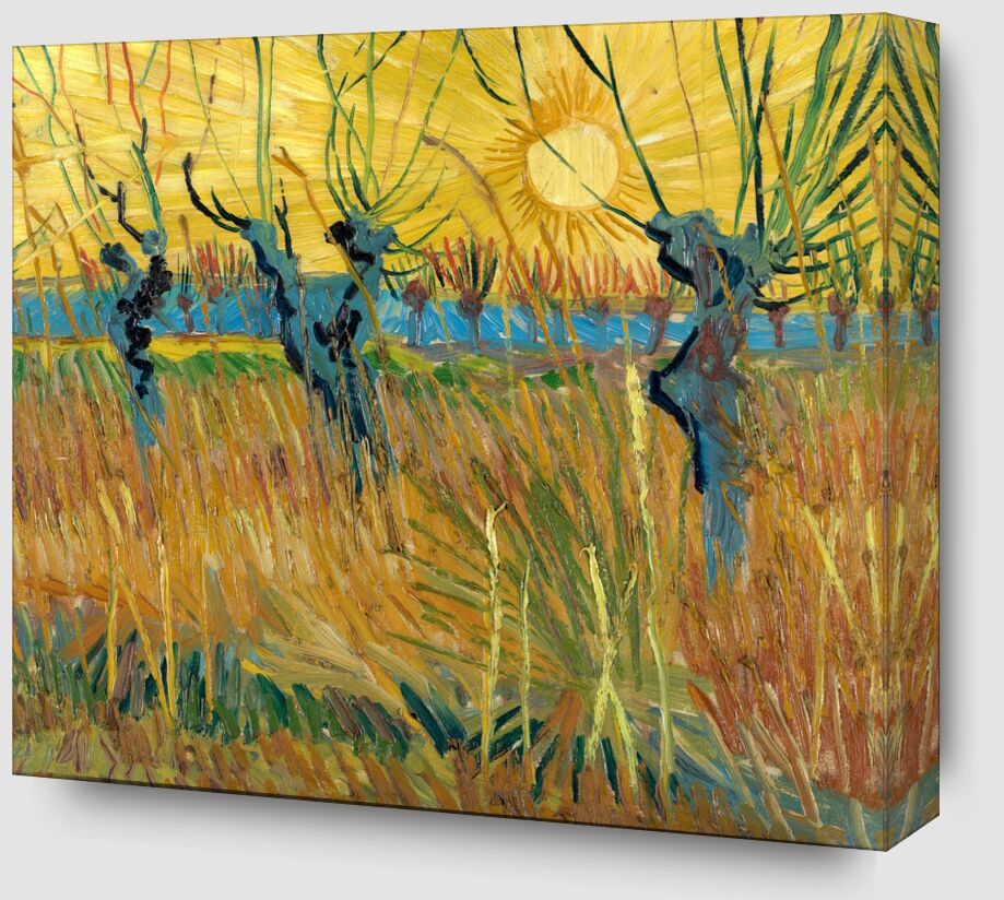 Pollard Willows at Sunset - Van Gogh from Fine Art Zoom Alu Dibond Image