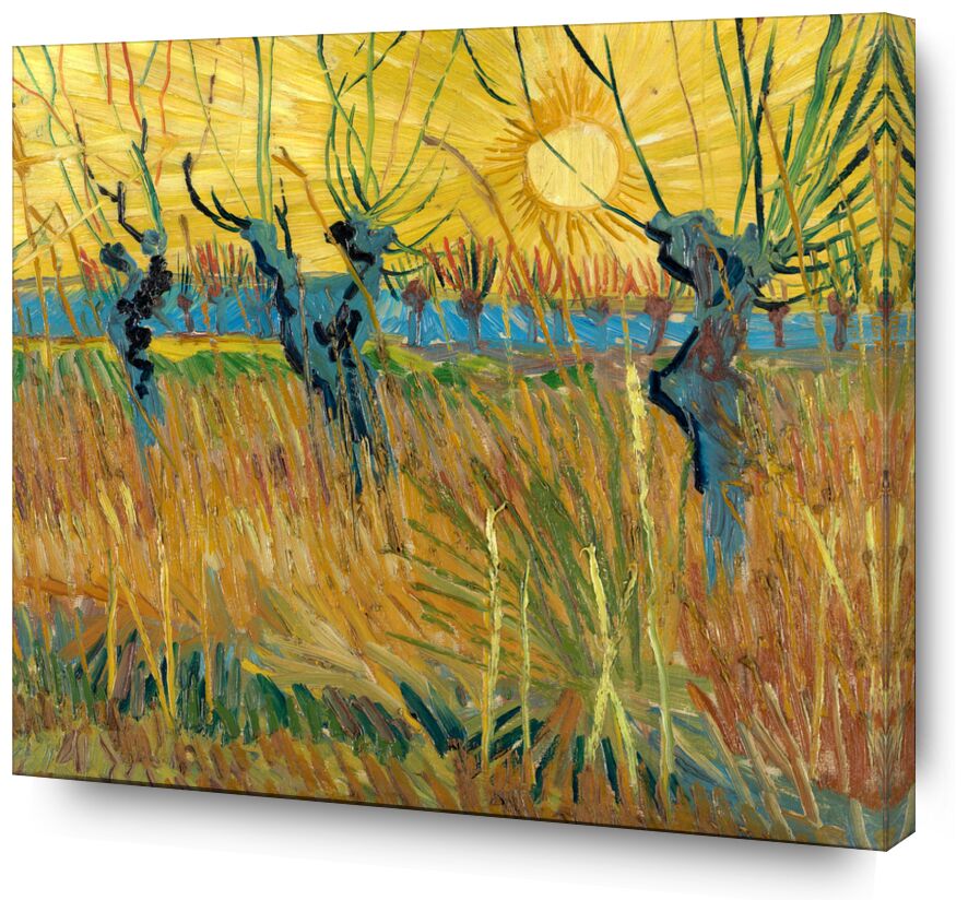 Saules au Soleil Couchant - Van Gogh de Beaux-arts, Prodi Art, Van gogh, VINCENT VAN GOGH, soleil, soleil couchant, couché de soleil, peinture, vigne