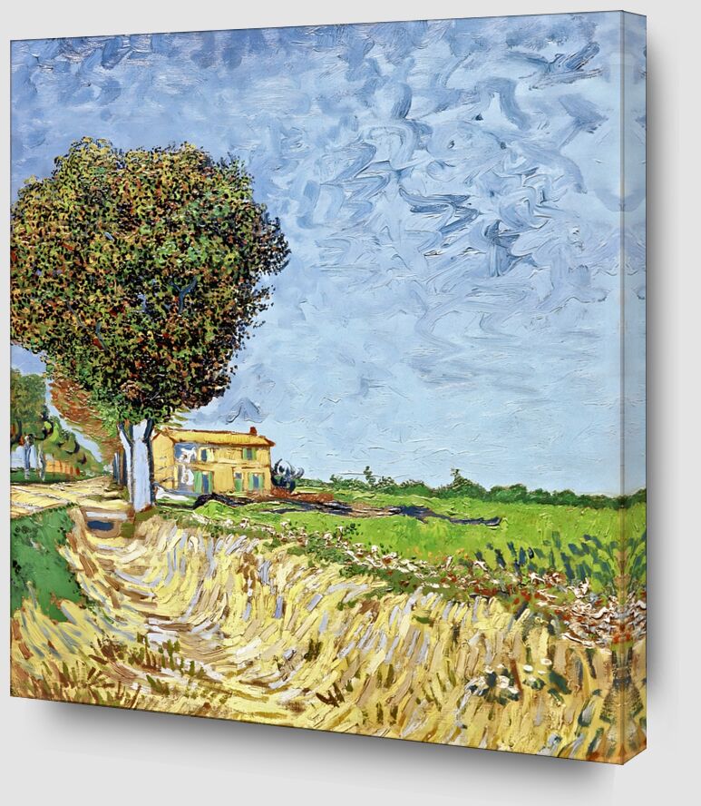 Avenue à Arles avec des Maisons - Van Gogh de Beaux-arts Zoom Alu Dibond Image