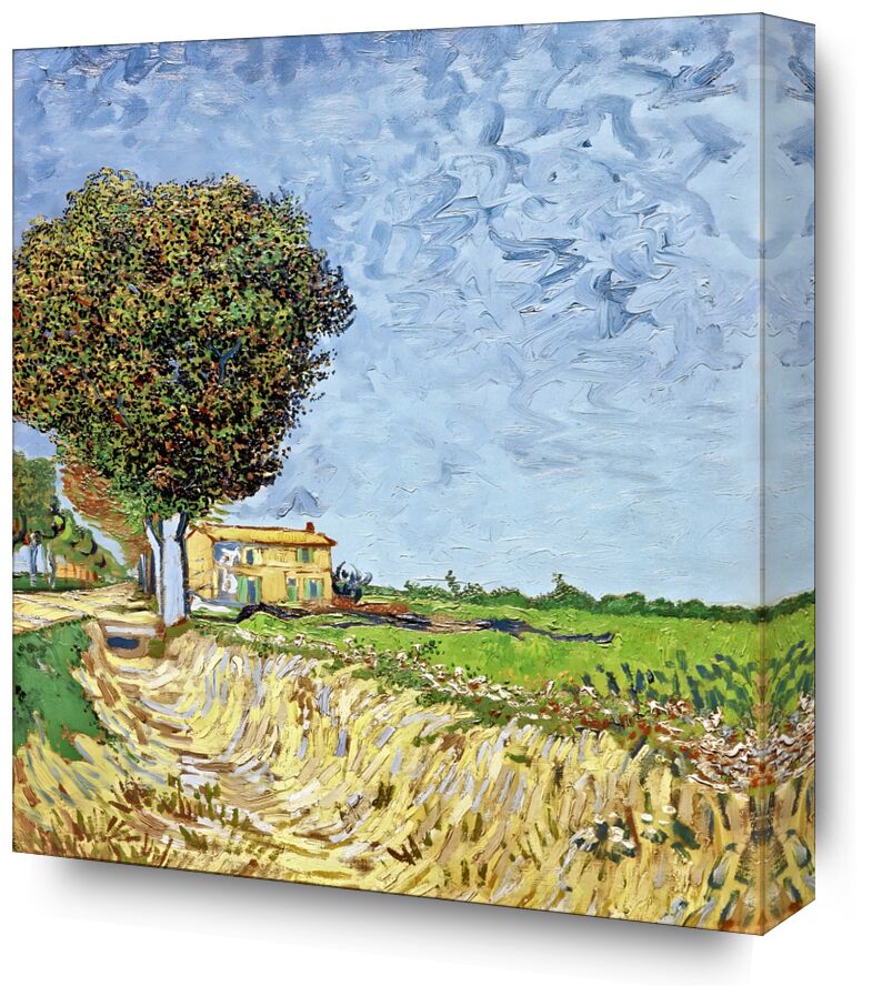 Avenue in Arles with Houses - Van Gogh from Fine Art, Prodi Art, Van gogh, VINCENT VAN GOGH, Arles, France, path, House, nature, sky, painting