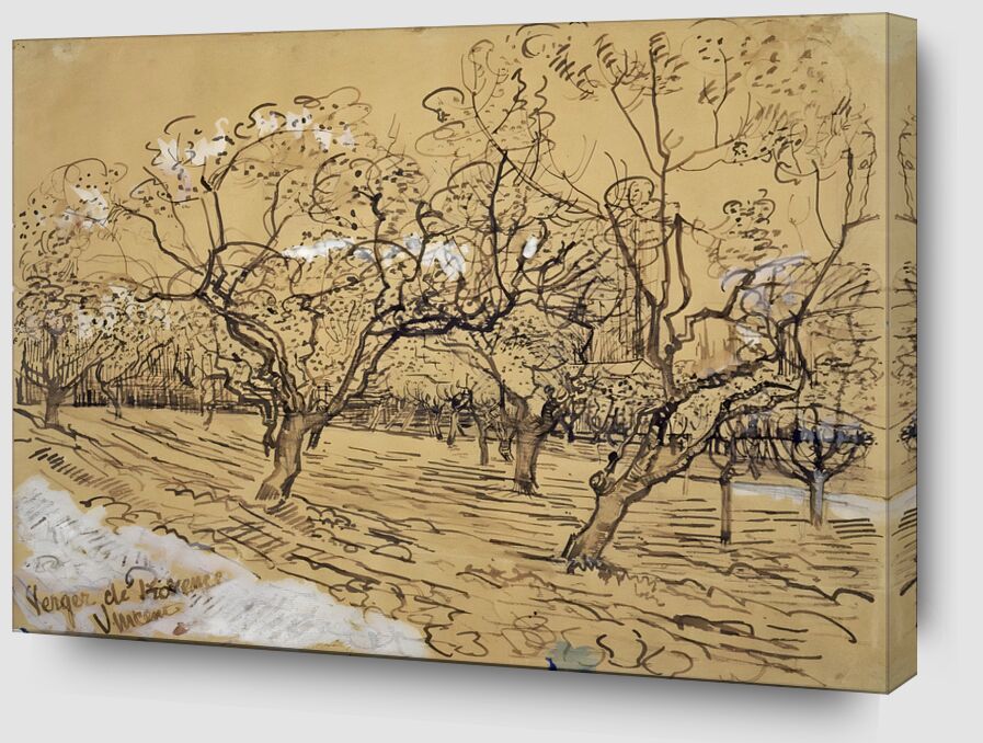 Plum Tree in Bloom : Orchard of Provence desde Bellas artes Zoom Alu Dibond Image