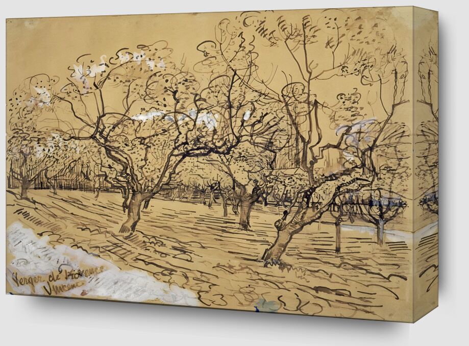 Plum Tree in Bloom : Orchard of Provence - Van Gogh from Fine Art Zoom Alu Dibond Image