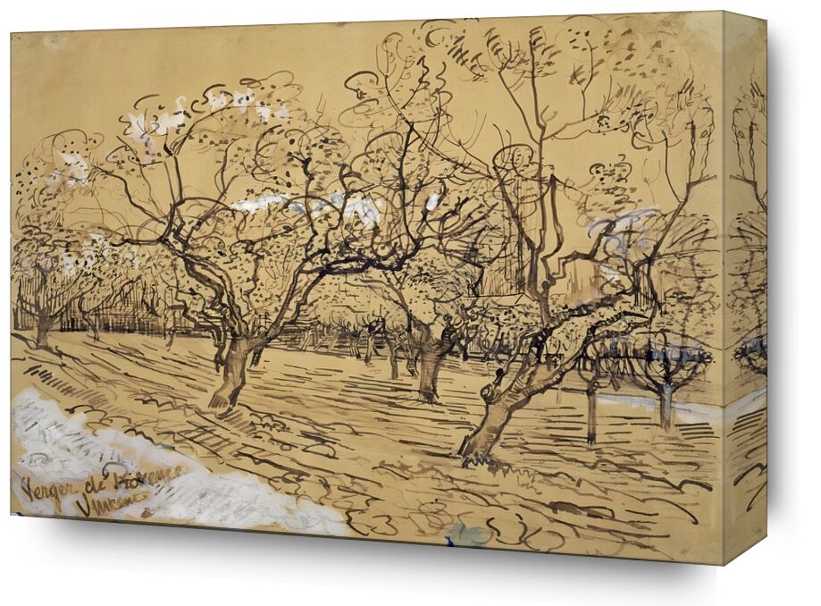 Plum Tree in Bloom : Orchard of Provence - Van Gogh from Fine Art, Prodi Art, Van gogh, VINCENT VAN GOGH, landscape, fields, nature, France, plum tree