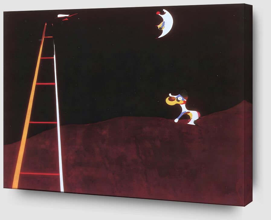 Perro ladrando a la luna desde Bellas artes Zoom Alu Dibond Image