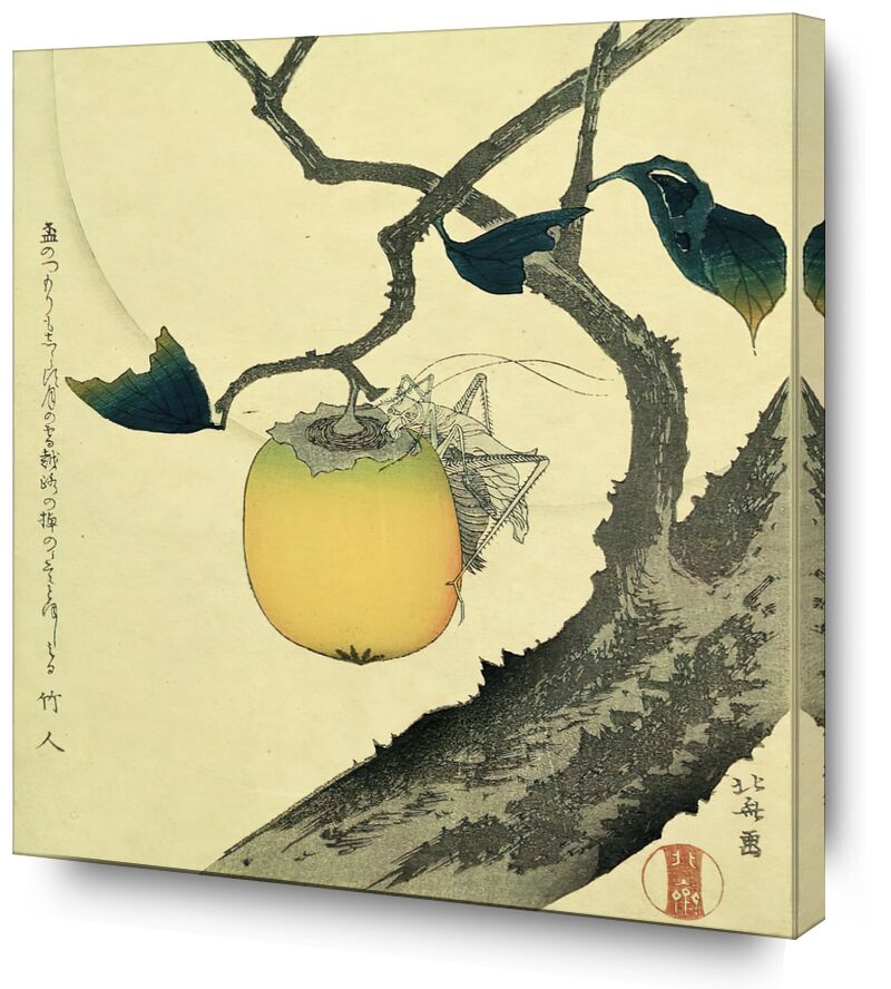 Luna, Caqui y Saltamontes desde Bellas artes, Prodi Art, caligrafía, Japón, Fruta, árbol, naturaleza, luna, Hokusai
