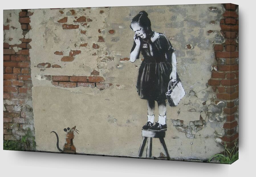 Rat Girl desde Bellas artes Zoom Alu Dibond Image
