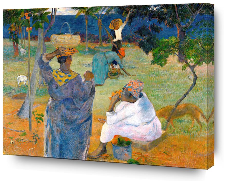 Recolección de frutas o mangos desde Bellas artes, Prodi Art, Paul Gauguin, Gauguin, frutas, mujeres, animales, Recogida de fruta