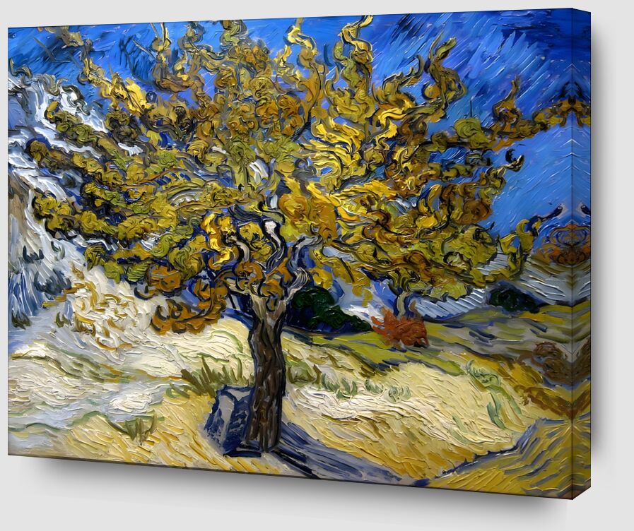 Mulberry Tree at  Saint-Rémy - 1889 desde Bellas artes Zoom Alu Dibond Image