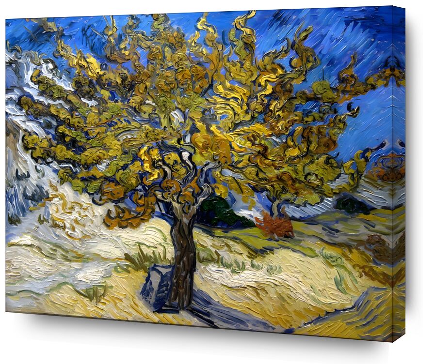 Mulberry Tree at  Saint-Rémy - 1889 desde Bellas artes, Prodi Art, pintura de aceite, prado, azul, VINCENT VAN GOGH, sol, pintura, árbol