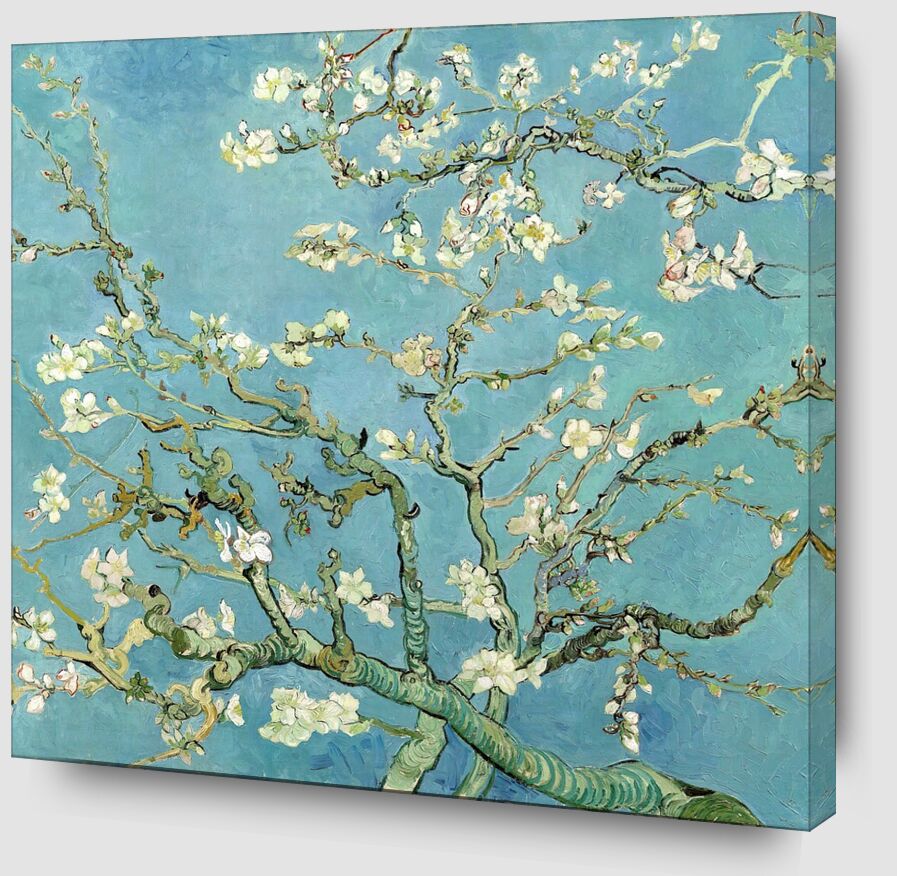 Almond Blossom, Saint-Rémy - 1890 desde Bellas artes Zoom Alu Dibond Image