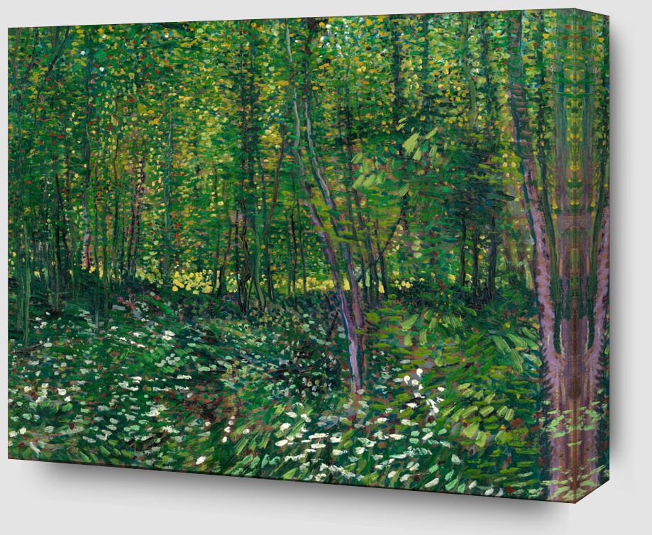 Trees and undergrowth - VINCENT VAN GOGH 1887 from Fine Art Zoom Alu Dibond Image