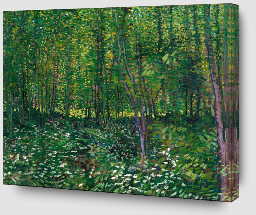 Trees and undergrowth - VINCENT VAN GOGH 1887 from AUX BEAUX-ARTS Zoom Alu Dibond Image