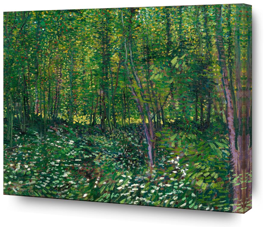 Trees and undergrowth - VINCENT VAN GOGH 1887 from AUX BEAUX-ARTS, Prodi Art, undergrowth, VINCENT VAN GOGH, painting, flowers, trees, forest, green, nature, wood