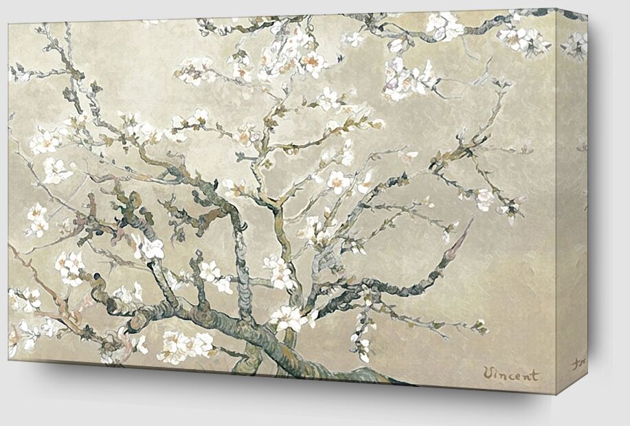 Almond Branches in Bloom, San Remy - VINCENT VAN GOGH 1890 from Fine Art Zoom Alu Dibond Image