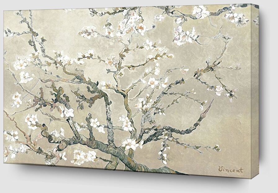 Almond Branches in Bloom, San Remy - VINCENT VAN GOGH 1890 from AUX BEAUX-ARTS Zoom Alu Dibond Image