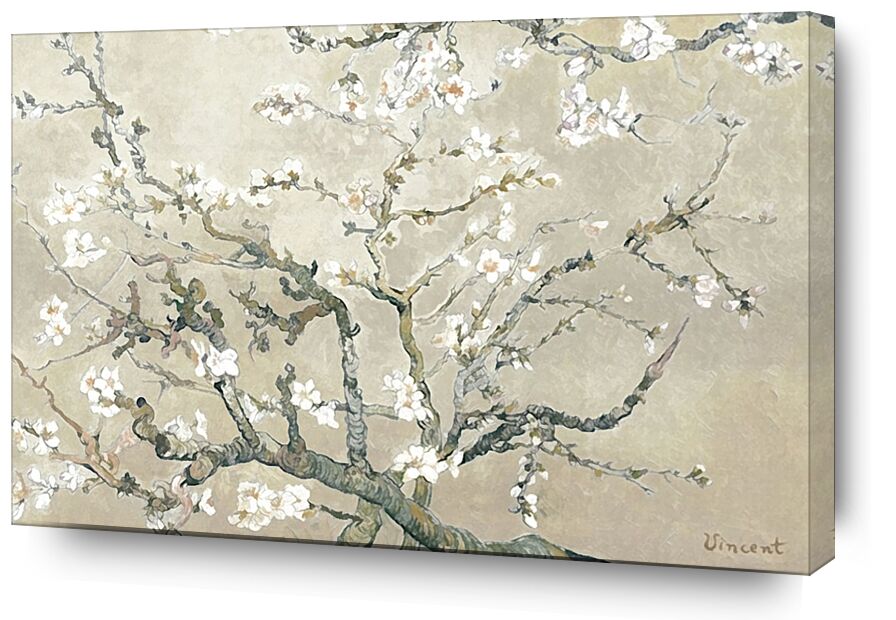 Almond Branches in Bloom, San Remy - VINCENT VAN GOGH 1890 from AUX BEAUX-ARTS, Prodi Art, painting, branch, almond, tree, flower, flowering tree, VINCENT VAN GOGH