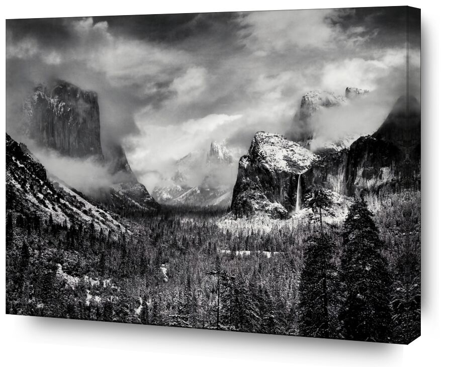 Yosemite, United States 1952 desde Bellas artes, Prodi Art, ANSEL ADAMS, bosque, Pinos, árbol, nieve, invierno, nubes, montañas, blanco y negro