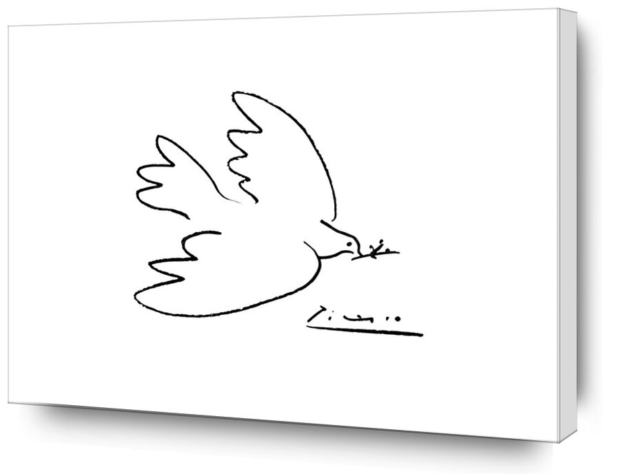 Dove of peace - PABLO PICASSO from AUX BEAUX-ARTS, Prodi Art, PABLO PICASSO, pencil drawing, dove, drawing