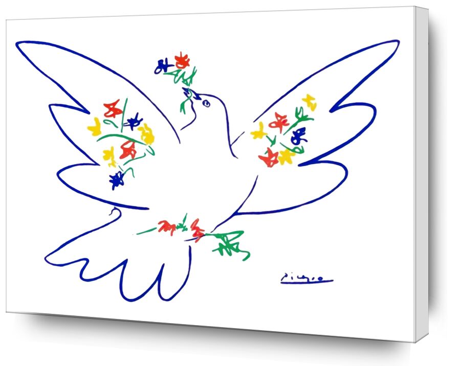 Dove of peace - PABLO PICASSO von Bildende Kunst, Prodi Art, PABLO PICASSO, Bleistiftzeichnung, Zeichnung, Liebe, Frieden, Taube