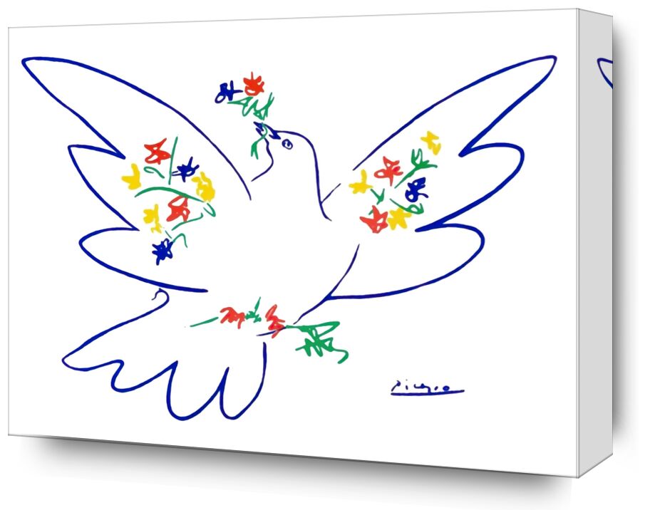 Dove of peace - PABLO PICASSO from Fine Art, Prodi Art, PABLO PICASSO, pencil drawing, drawing, love, peace, dove