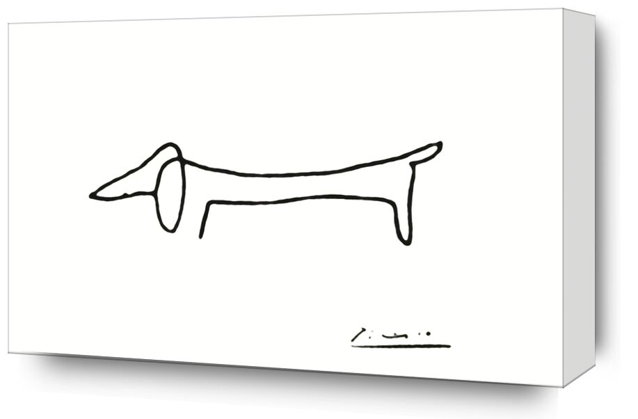 The dog - PABLO PICASSO from Fine Art, Prodi Art, drawing, pencil drawing, line, black-and-white, PABLO PICASSO, dog, a line
