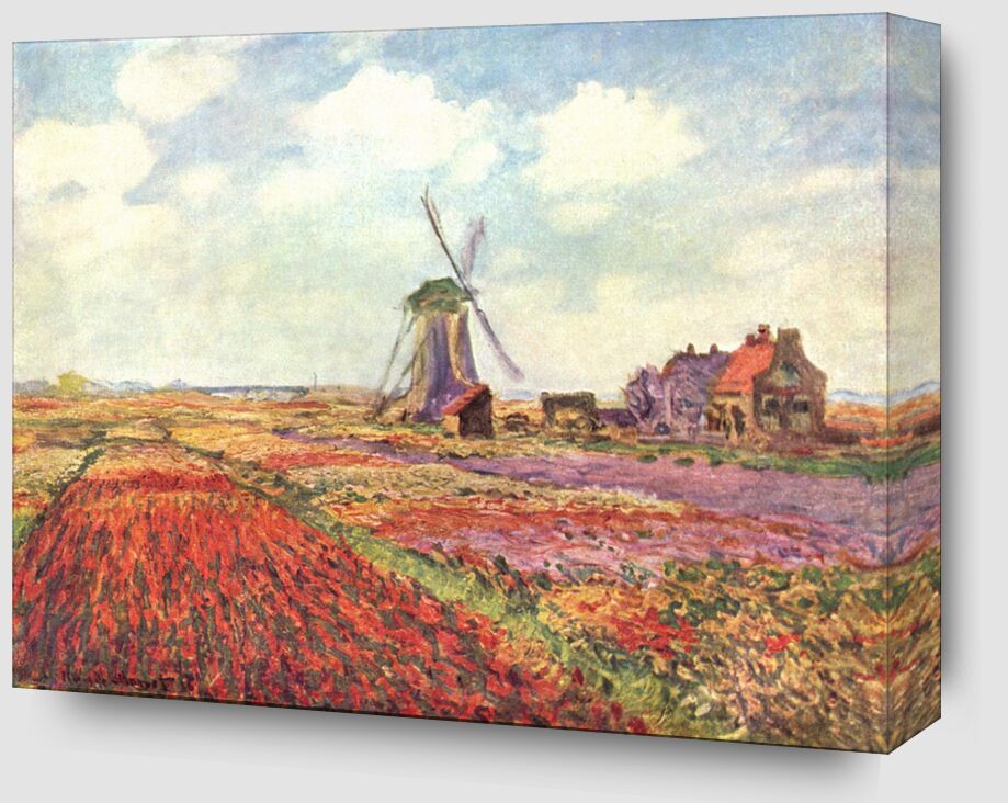 Tulip fields in Holland - CLAUDE MONET 1886 from Fine Art Zoom Alu Dibond Image