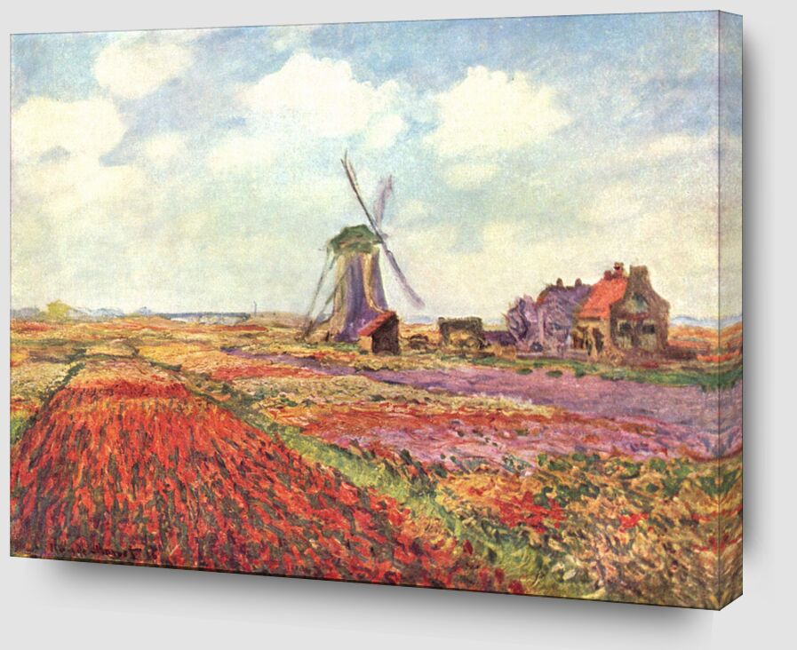 Tulip fields in Holland - CLAUDE MONET 1886 von Bildende Kunst Zoom Alu Dibond Image