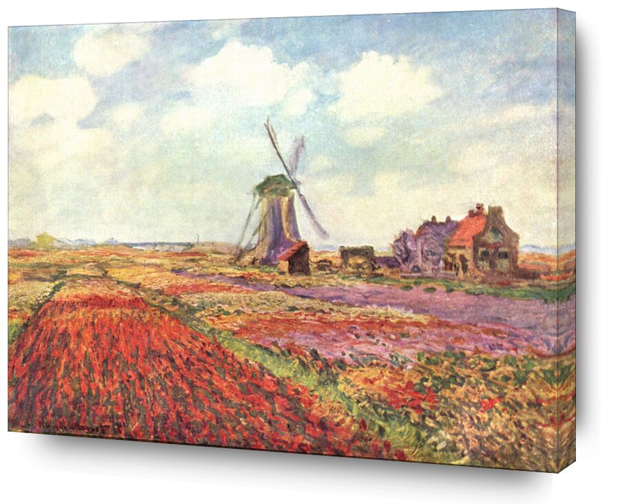Tulip fields in Holland - CLAUDE MONET 1886 von Bildende Kunst, Prodi Art, Tulpe, Tulpenfelder, CLAUDE MONET, Wolken, Himmel, Landwirtschaft, Natur, Mühle, Felder