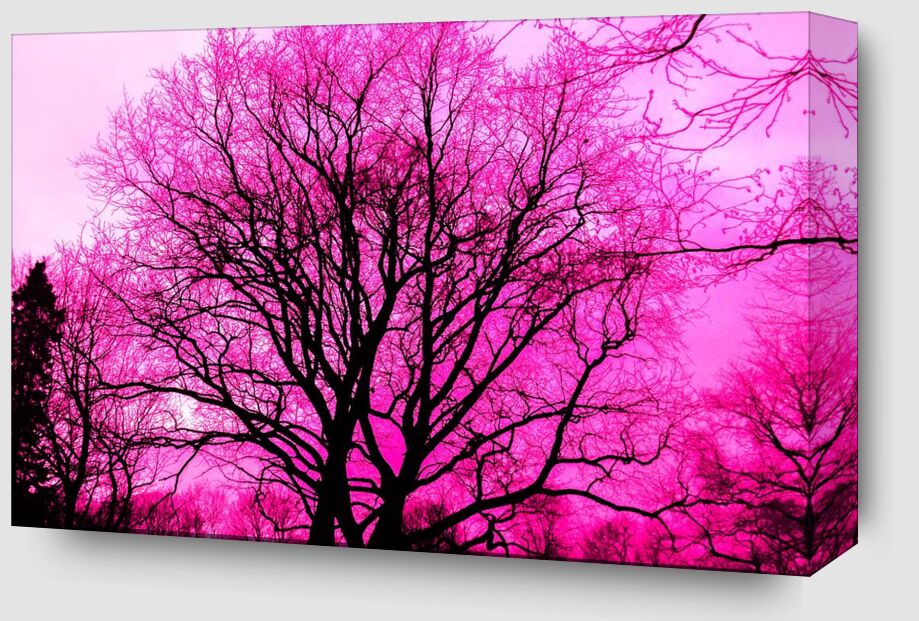 Life in pink from Aliss ART Zoom Alu Dibond Image