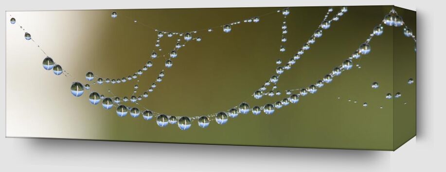 Drops on canvas from Aliss ART Zoom Alu Dibond Image