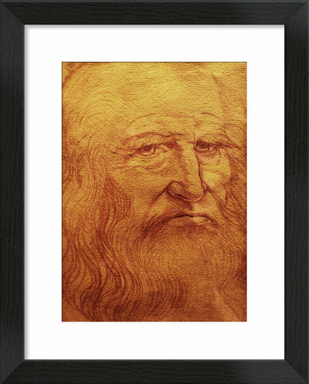 Self-portrait - Leonardo da Vinci desde Bellas artes, Prodi Art, tiza, dibujo, autorretrato, Leonard de Vinci