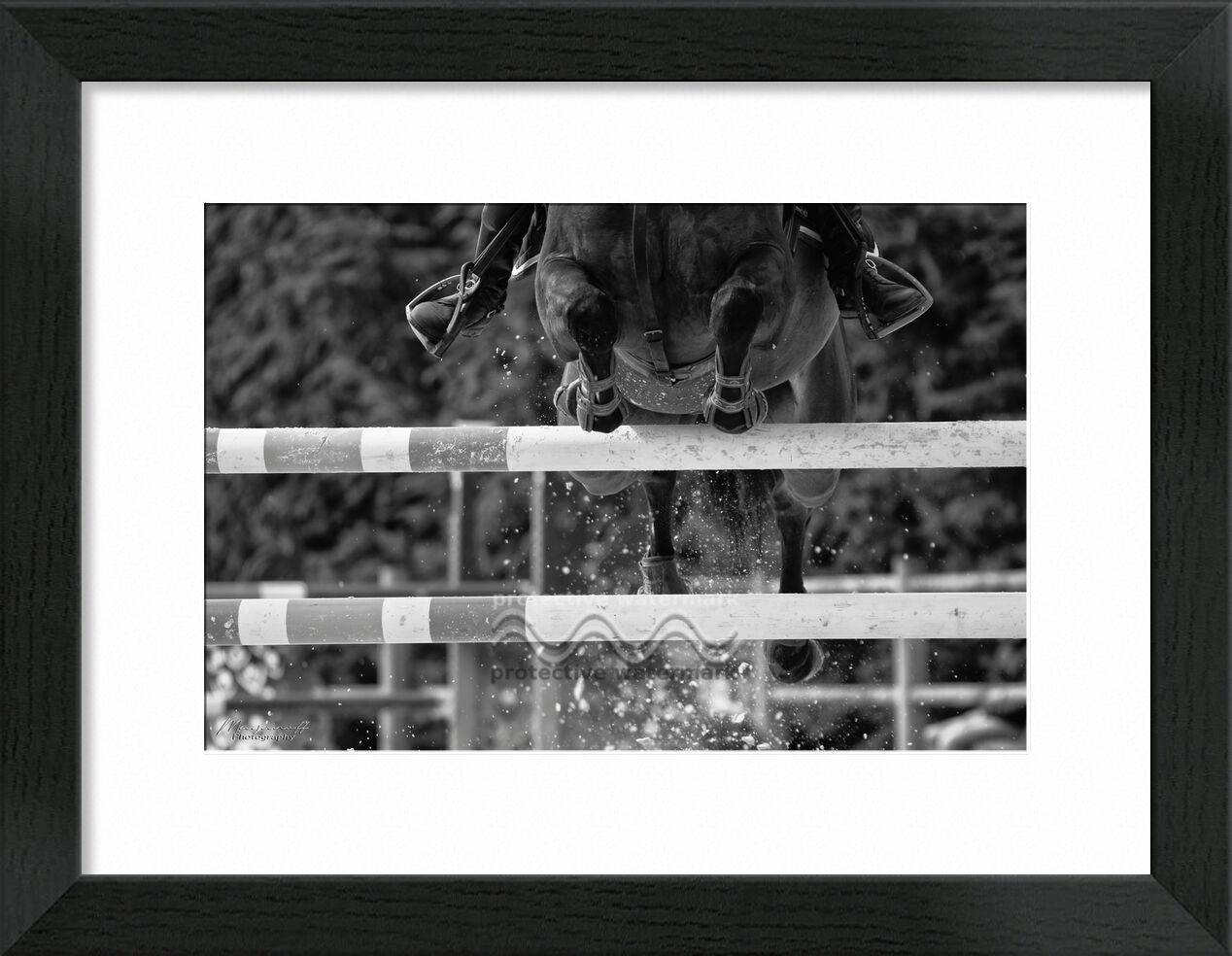 Le franchissement de Mayanoff Photography, Prodi Art, équestre, cheval, concours, obstacles, équestre, cheval, sauter, concurrence, jumping, cavalier, saut, cavalier