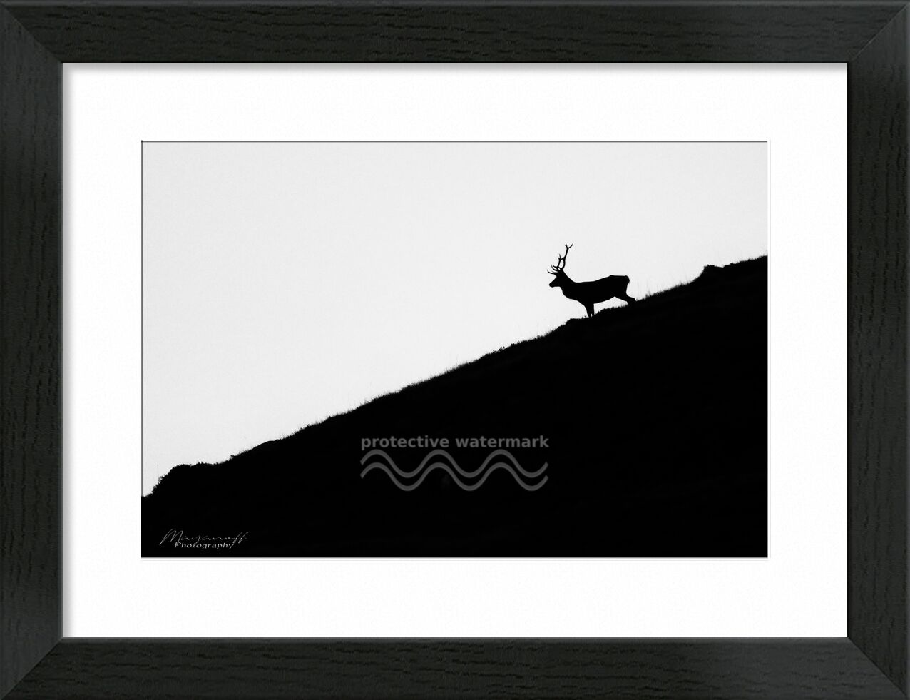 Night getaway from Mayanoff Photography, Prodi Art, deer, night, dusk, mountains, crest, animal, wildlife, deer, night, dusk, mountain, wildlife, ridge