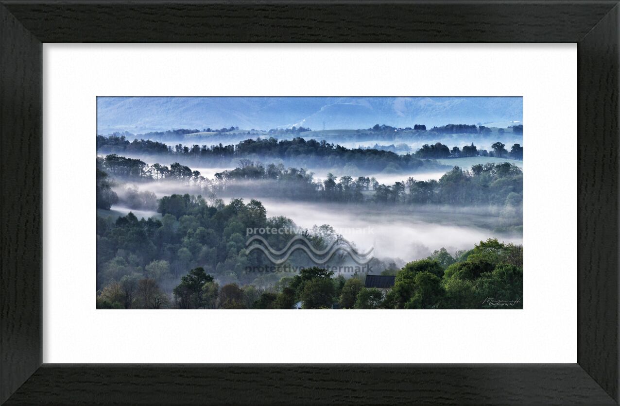 Foggy morning from Mayanoff Photography, Prodi Art