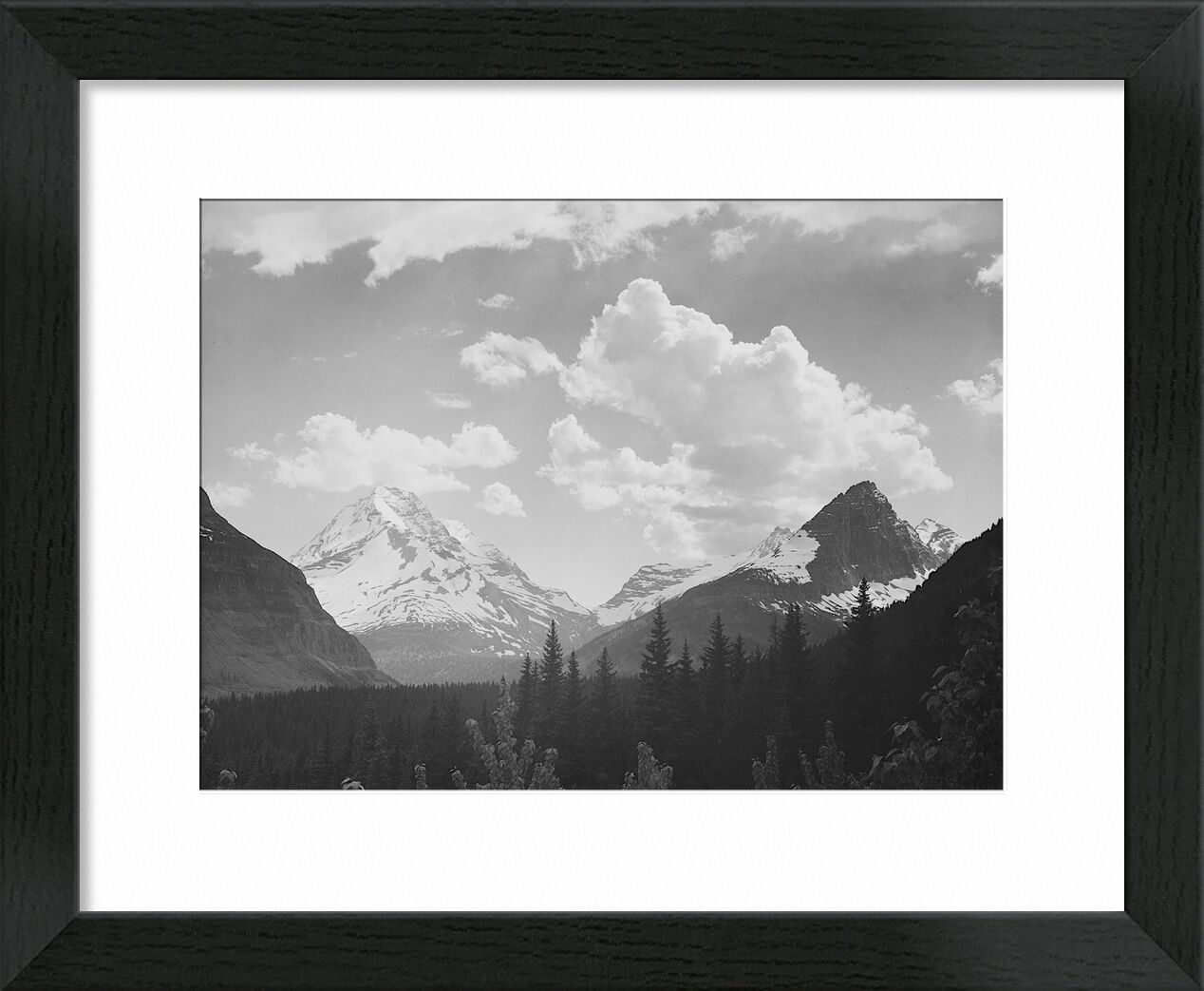Looking Across Forest To Mountains And Clouds - Ansel Adams desde Bellas artes, Prodi Art, montaje, nube, paisaje, blanco y negro, nieve, invierno, abeto