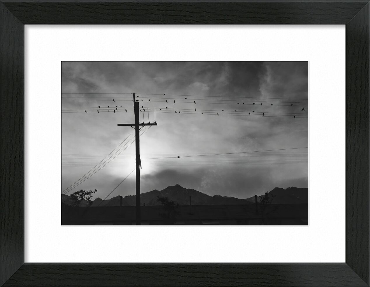 Birds on Wire, Evening - Ansel Adams von Bildende Kunst, Prodi Art, Schwarz und weiß, Sonne, Himmel, Geflügel, Berge, ANSEL ADAMS