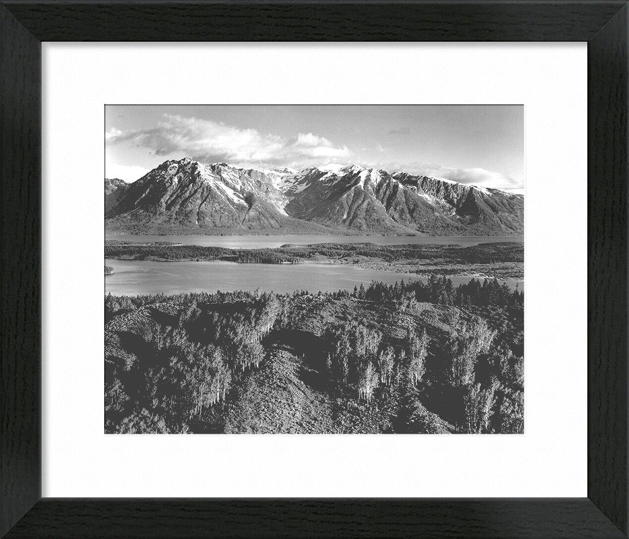 Grand Teton, National Park Wyoming - Ansel Adams von Bildende Kunst, Prodi Art, ANSEL ADAMS, Berge, Bäume, Schwarz und weiß, Wyoming