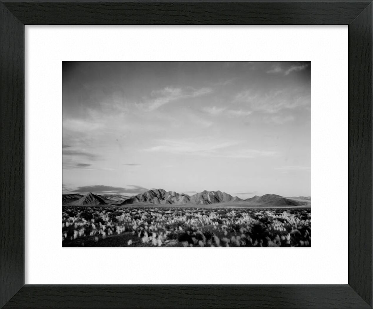 View Of Montains Desert Shrubs Highlighted - Ansel Adams von Bildende Kunst, Prodi Art, ANSEL ADAMS, Schwarz und weiß, Berge, Sträucher