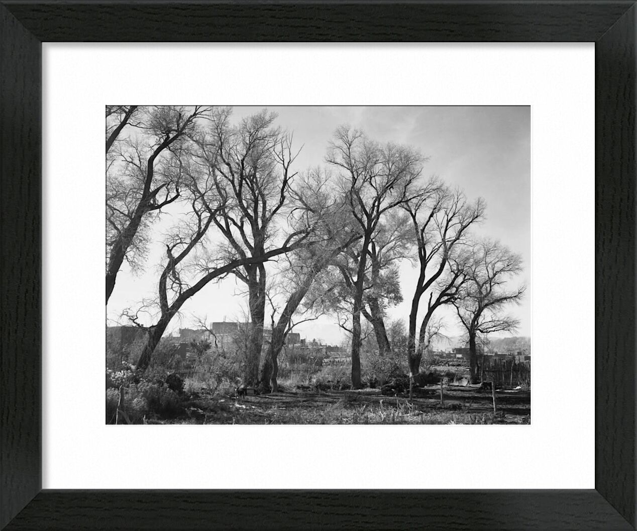 At Taos Pueblo National Historic Landmark - Ansel Adams von Bildende Kunst, Prodi Art, ANSEL ADAMS, Schwarz und weiß, Bäume, Bauernhof