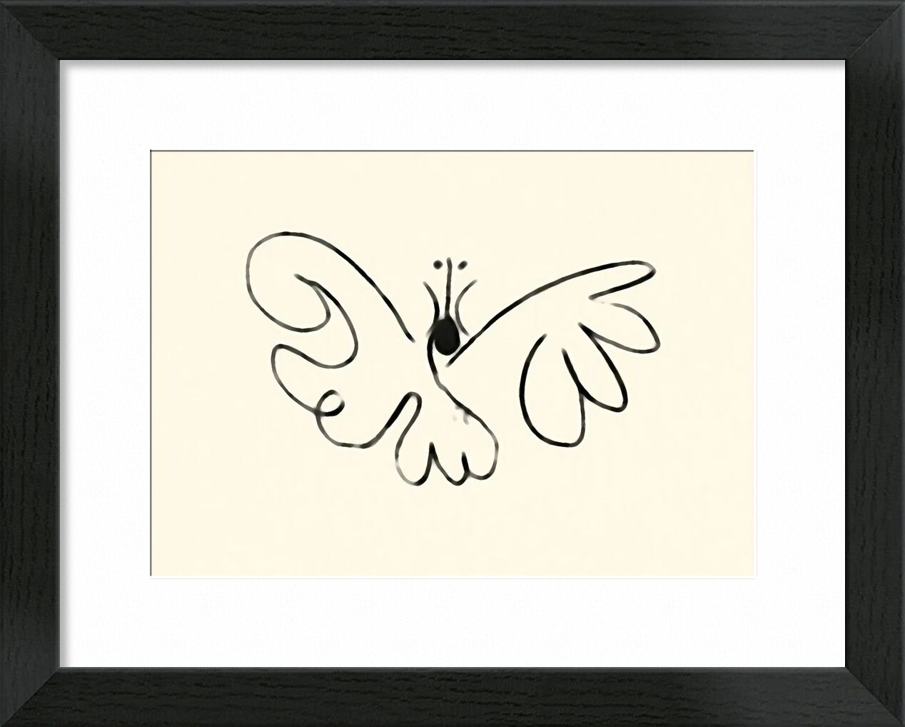 The Butterfly - Picasso von Bildende Kunst, Prodi Art, Schmetterling, Picasso, Zeichnung, Züge