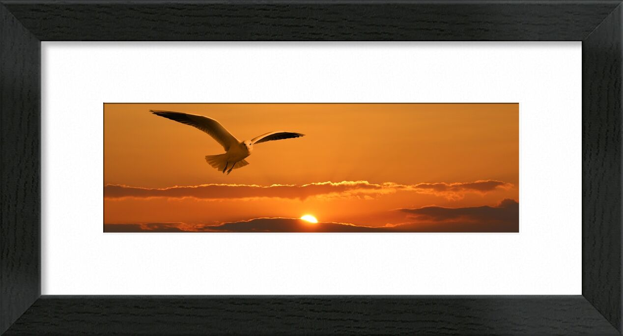 Vol de la mouette de Pierre Gaultier, Prodi Art, bannière, entête, mouette, oiseau, mouche, nuages, Orange, couché de soleil, soleil, facilité