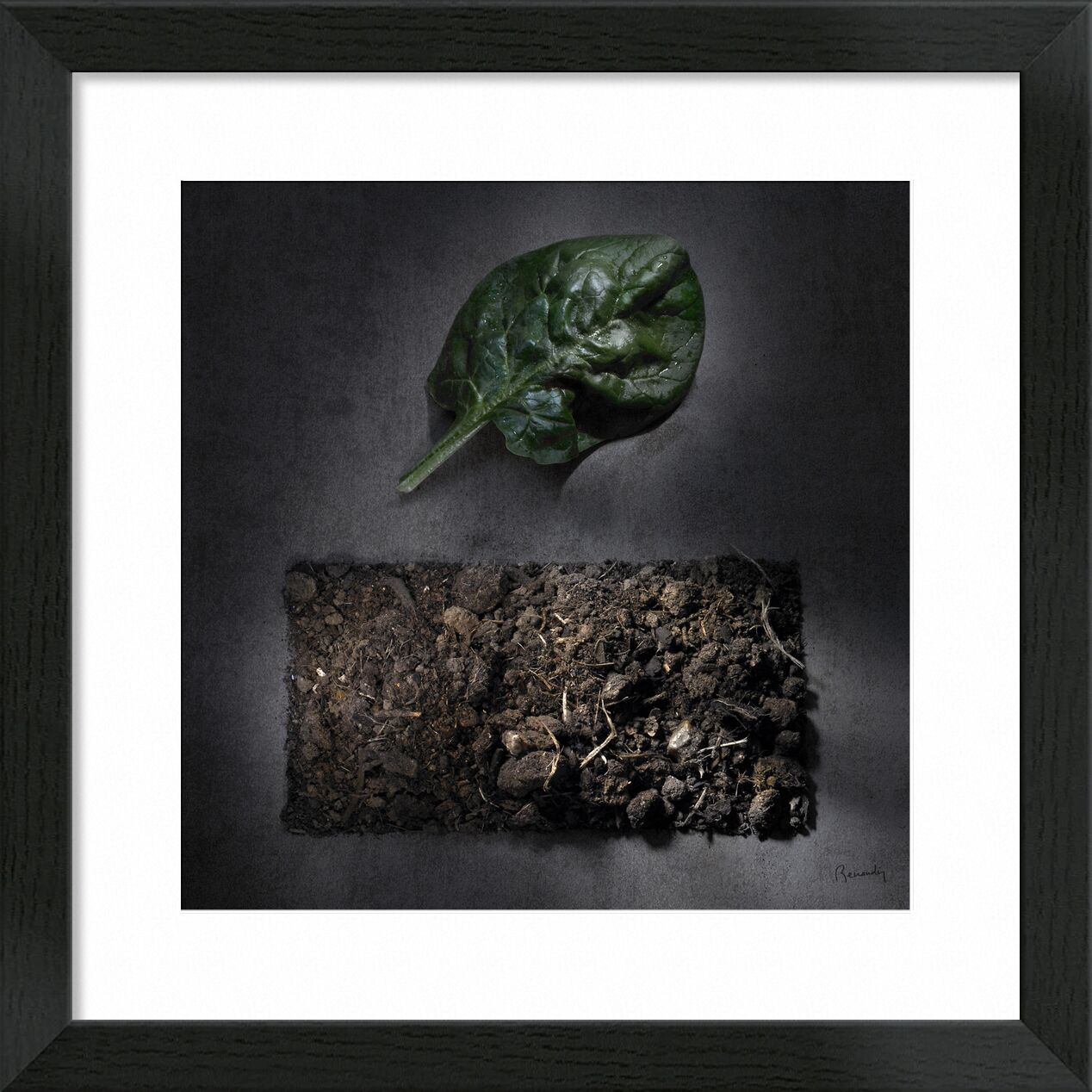 Objectif TERRE !  #5 de jean michel RENAUDIN, Prodi Art, des légumes, soleil, terre végétale, compost, fruits, transformation, humus, terres, En traitement, terres arables