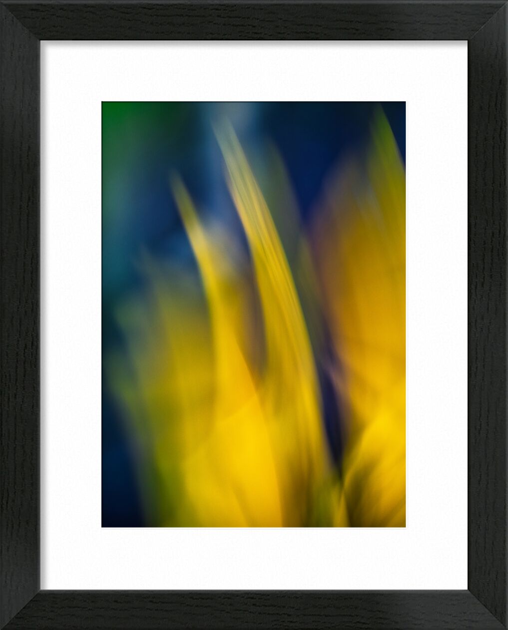 Le jaune fleurs de Céline Pivoine Eyes, Prodi Art, Photographie abstraite, art abstrait, ICM, plante, jaune, nature, fleurs, Mouvement de caméra intentionnel ICM